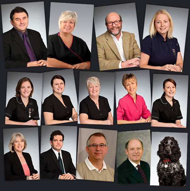Our friendly and experienced team - crawley dentist
